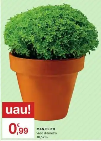 E.Leclerc Manjerico 10,5cm promoção