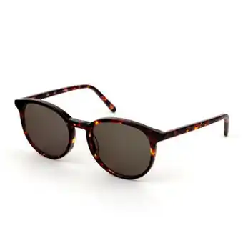 Well's Óculos de sol we 080 tartaruga promoção