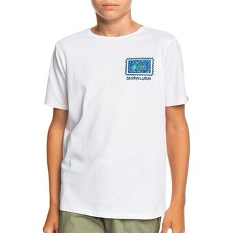 Quiksilver tshirt radical roots b tees wbb