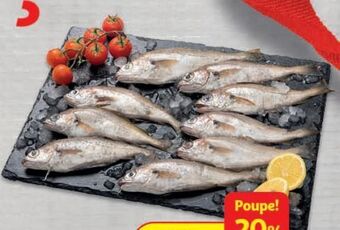 Auchan Faneca:fresca inteira kg promoção