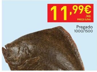 Recheio Peixe promoção
