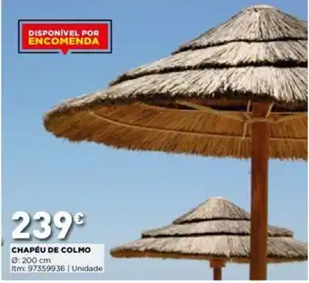 Chapéu de Colmo 200cm