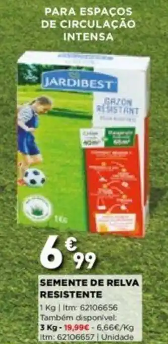 Bricomarché Semente de Relva Resistente 1kg promoção