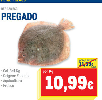 Pregado