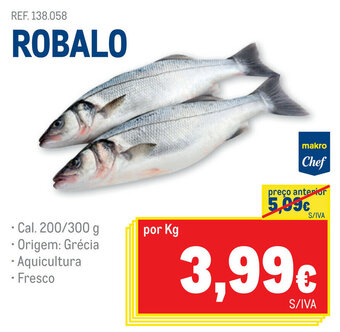 Robalo