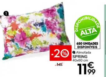 Spring Almofada 40x60cm