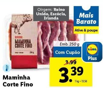 Lidl Carnes promoção