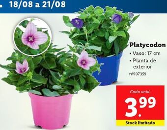 Lidl Plantas promoção