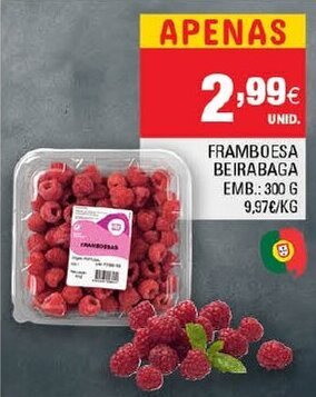 Continente Framboesa Beirabaga 300g promoção