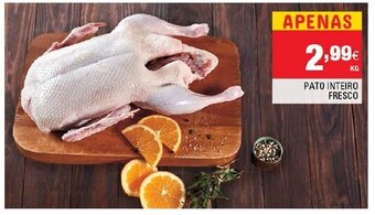 Continente Pato Inteiro Fresco promoção