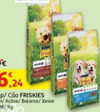 Ração cão friskies