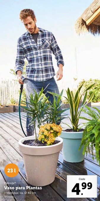 Lidl Vaso para Plantas promoção