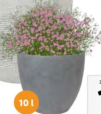 Lidl Vaso 10L-31x27cm promoção