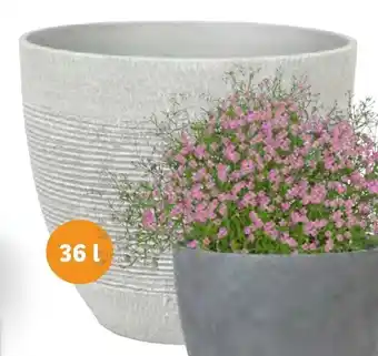 Lidl Vaso 36L-45x39,5cm promoção