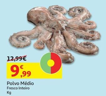 Auchan Polvo medio:fresco inteiro kg promoção