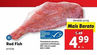 Lidl Peixe promoção