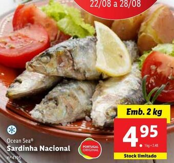 Lidl Sardinhas ocean sea promoção