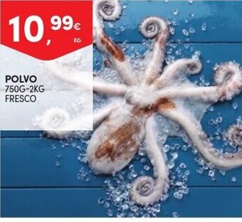 Continente Polvo 750g-2kg promoção