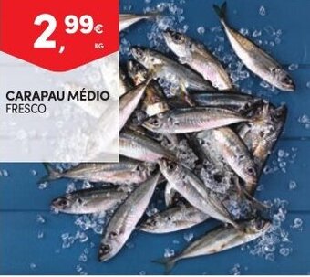 Continente Carapau Medio promoção