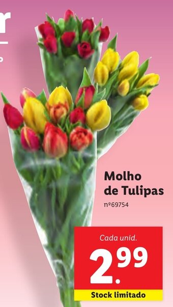 Lidl Molho de Tulipas promoção