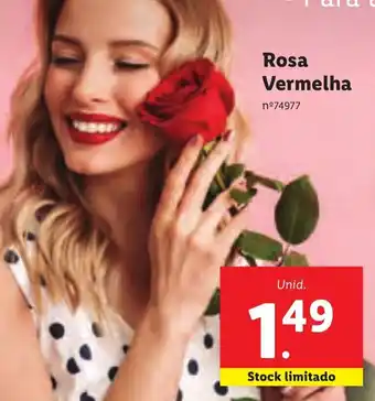 Lidl Rosa Vermelha 1,49 promoção