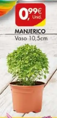 Pingo Doce Manjerico Vaso 10,5cm promoção