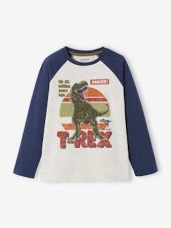 Vertbaudet Camisola com motivo gráfico e mangas raglan de cor, para... promoção