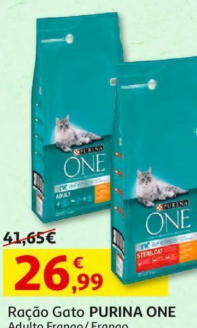 Auchan Raçao gato one promoção