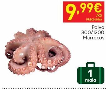 Recheio Polvo promoção