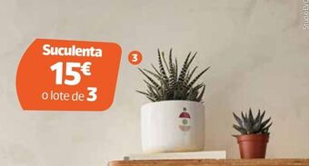 Jardiland Plantas promoção