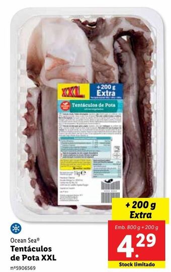 Lidl Tentáculos de lula promoção