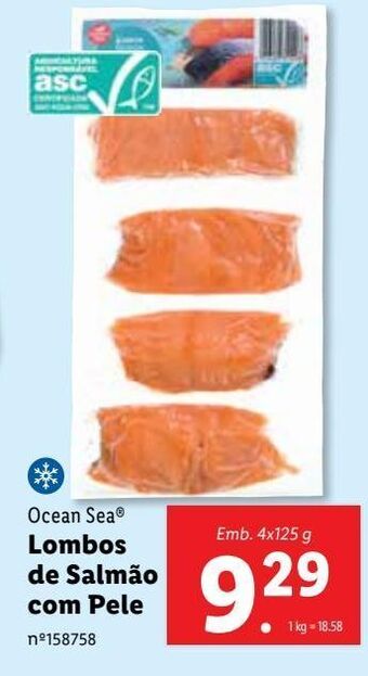 Lidl Salmão ocean sea promoção