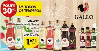 Pingo Doce Gallo Vinagre 25cl promoção