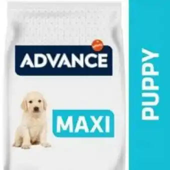 Advance baby protect puppy maxi