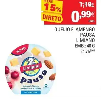 Continente Queijo Flamengo Pausa Limiano 40g promoção