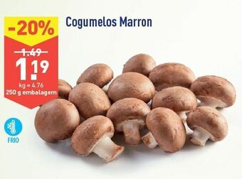 ALDI Cogumelos promoção