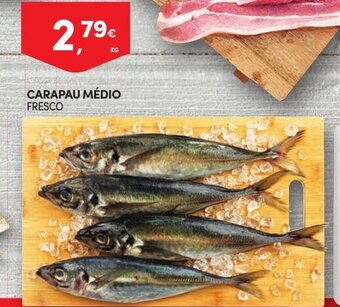 Continente Carapau Medio promoção