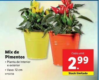 Lidl Plantas promoção