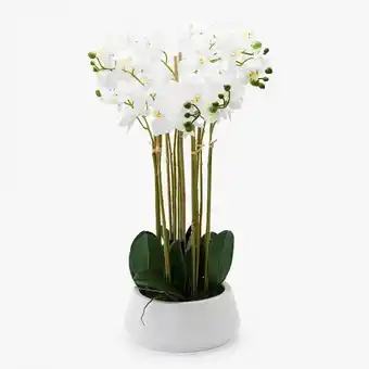 VIVA Vaso com orquídea artificial 20010099 promoção