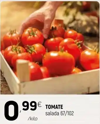 Coviran Tomata Salada 67/102 promoção