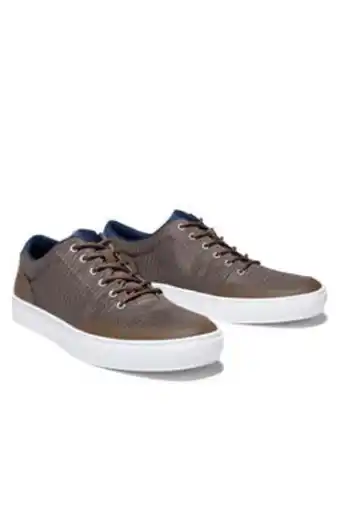 Springfield Zapato entresuela eva promoção
