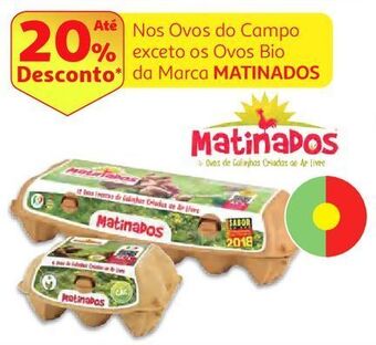 Auchan Ovos do campo matinados promoção