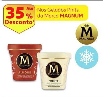 Gelado pint magnum
