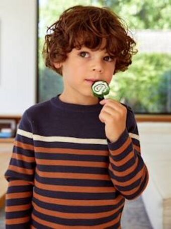 Vertbaudet Camisola às riscas, para menino - castanho medio as riscas promoção