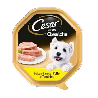 Ração húmida para cão sabor frango e perú cesar