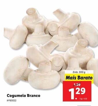 Lidl Cogumelos promoção