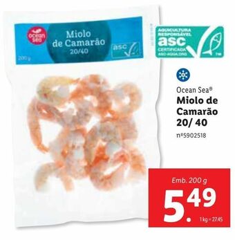 Camarão ocean sea