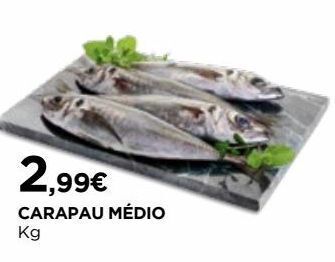 El Corte Inglés Peixe promoção