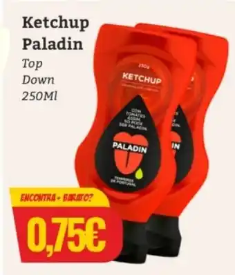 Belita Ketchup Paladin 250ml promoção