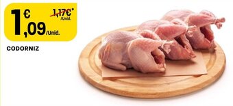 Intermarché Codorniz promoção